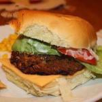 American Veggie Burgers of Zucchini and Carrots Appetizer