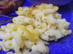 American Easy Baked Macaroni and Cheese Appetizer