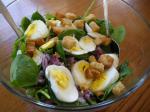 American My Food Coachs Spinach Salad Appetizer