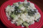 American Broccoli Rice and Cheese Casserole 2 Appetizer