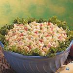 Turkish Veggie Macaroni Salad Appetizer