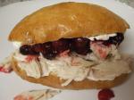 Turkish The Gobbler apres Thanksgiving Sandwich Dinner