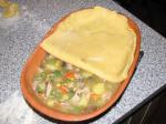 Turkish Chicken or Turkey Pot Pie 1 Dinner