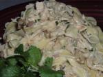 Turkish Tequila Turkey Fettuccini Appetizer