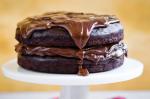 American Lazy Day Chocolate Cake Recipe Dessert
