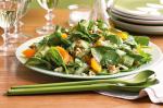 American Spinach Walnut And Fetta Salad Recipe Appetizer