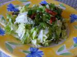 American Chopped Blue Cheese Salad Dessert