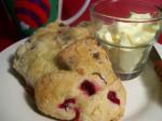 Canadian Bed and Breakfast Cranberry Biscuits Dessert