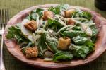 American Mustard Greens Salad with Anchovy Dressing Recipe Appetizer