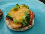 American Broccoli and Cheese Breakfast Melts Dinner