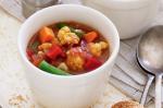Canadian Spicy Tomato And Vegetable Soup Recipe Appetizer