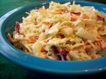 Canadian Tangy Dijon Coleslaw Appetizer