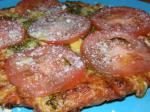 American Easy Cheese and Pesto Pizza With Fresh Tomatoes Appetizer