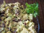 American Curried Cranberry Chicken Salad Appetizer