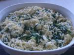 American Creamy Orzo and Spinach Appetizer