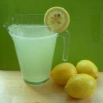 Mexican Fast Lemonade Appetizer