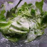 Green Salad on North German Art recipe