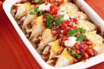 Chicken Enchiladas With Tomato Salsa Recipe recipe