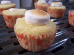 Baked Alaskaettes recipe