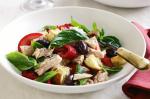 Australian Tuna Panzanella Salad Recipe Appetizer