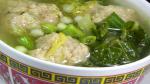 Chinese Chinese Lions Head Soup Recipe Appetizer
