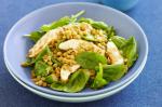 British Warm Chicken And Lentil Salad Recipe 1 Appetizer
