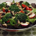 American Garden Salad with Red Wine Dressing Alcohol