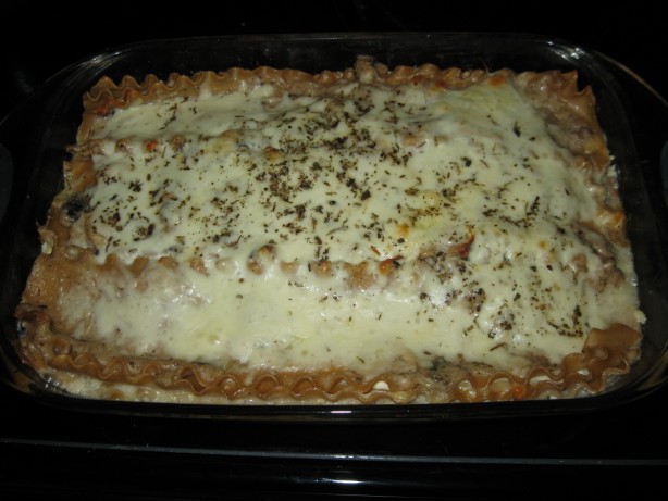 Australian Alfredo Chicken Lasagna 1 Appetizer