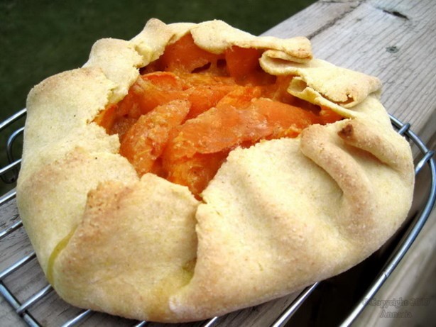 Australian Diabetic Friendly Country Apricot Tart Dessert