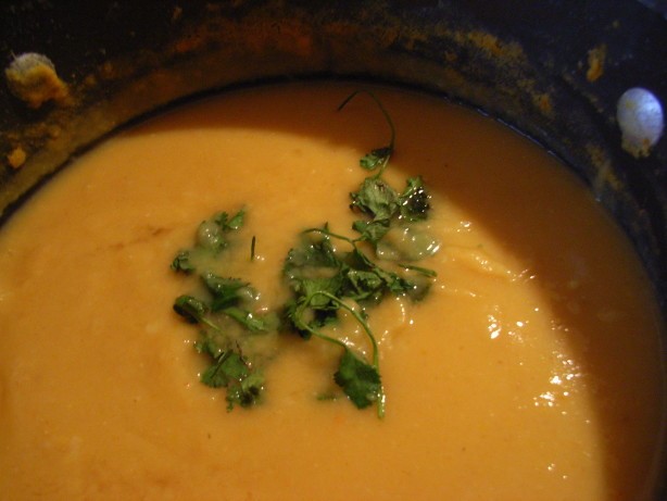 Australian Hearty Vegetable and Lentil Soup Appetizer