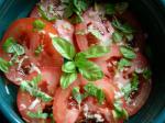 French Simple Garlic Basil Tomato Salad Appetizer