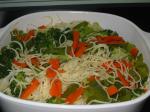 American Vegetable Indulgence Pasta Dinner