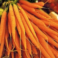American Herbed Carrots Appetizer