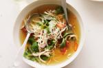 Australian Hot And Sour Chicken Broth Recipe Appetizer