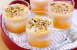 Australian Frozen Yoghurt Sundaes Recipe Appetizer