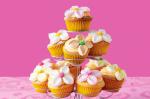 Australian Orange Marshmallow Flower Cupcakes Recipe Dessert