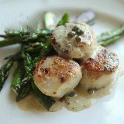 Canadian Scallops in Pestosahnesosize Appetizer