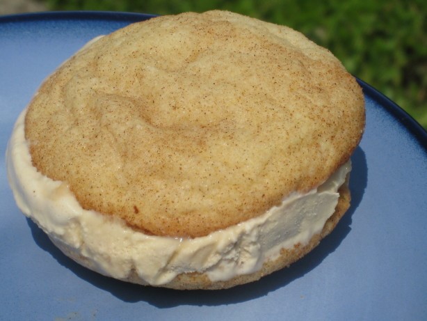 Australian Snickerdoodle Ice Cream Sandwiches Dessert