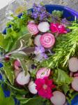 British Elizabethan English Herb and Flower Salad With Honey Dressing Appetizer