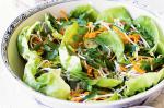 American Pickled Vegetable Salad Recipe Dinner