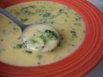 Creamed Broccoli Soup 4 recipe