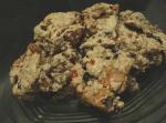 American Old Fashioned Spicy Oatmeal Raisin Bars Appetizer