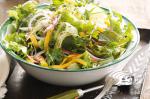 American Green Salad With Mango Recipe Appetizer