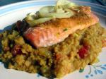 British Golden Salmon on a Bed of Lentils Appetizer