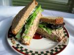 American Reduced Fat Tuna Salad Appetizer