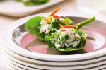 Thai Thai Crab Salad Recipe Appetizer