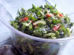 American Tomato Cucumber and Green Pepper Chopped Salad Appetizer