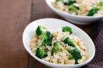 American Broccoli And Chilli Pasta Recipe Appetizer