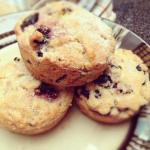 American Saskatoon Berry Muffins Dessert