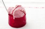 Australian Raspberry Gelato Recipe Appetizer